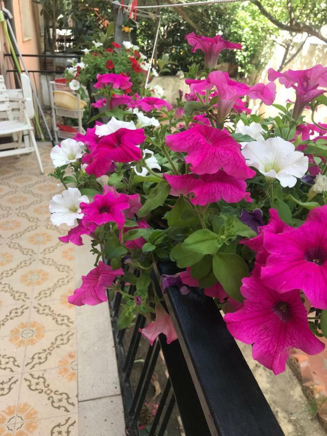 Simple And Very Nice Olbia Exterior foto